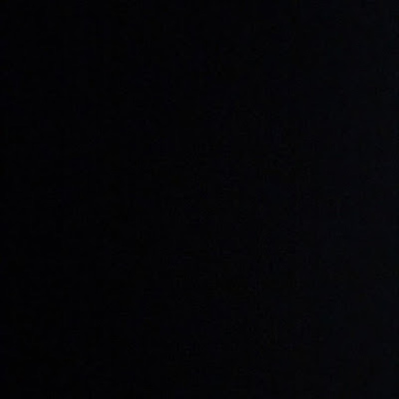 Meet your Posher, Selena - Picture 1 of 1